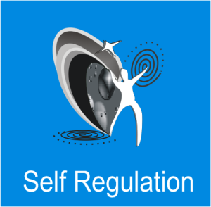 self regulation