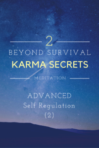3-advanced-self-regulation-2